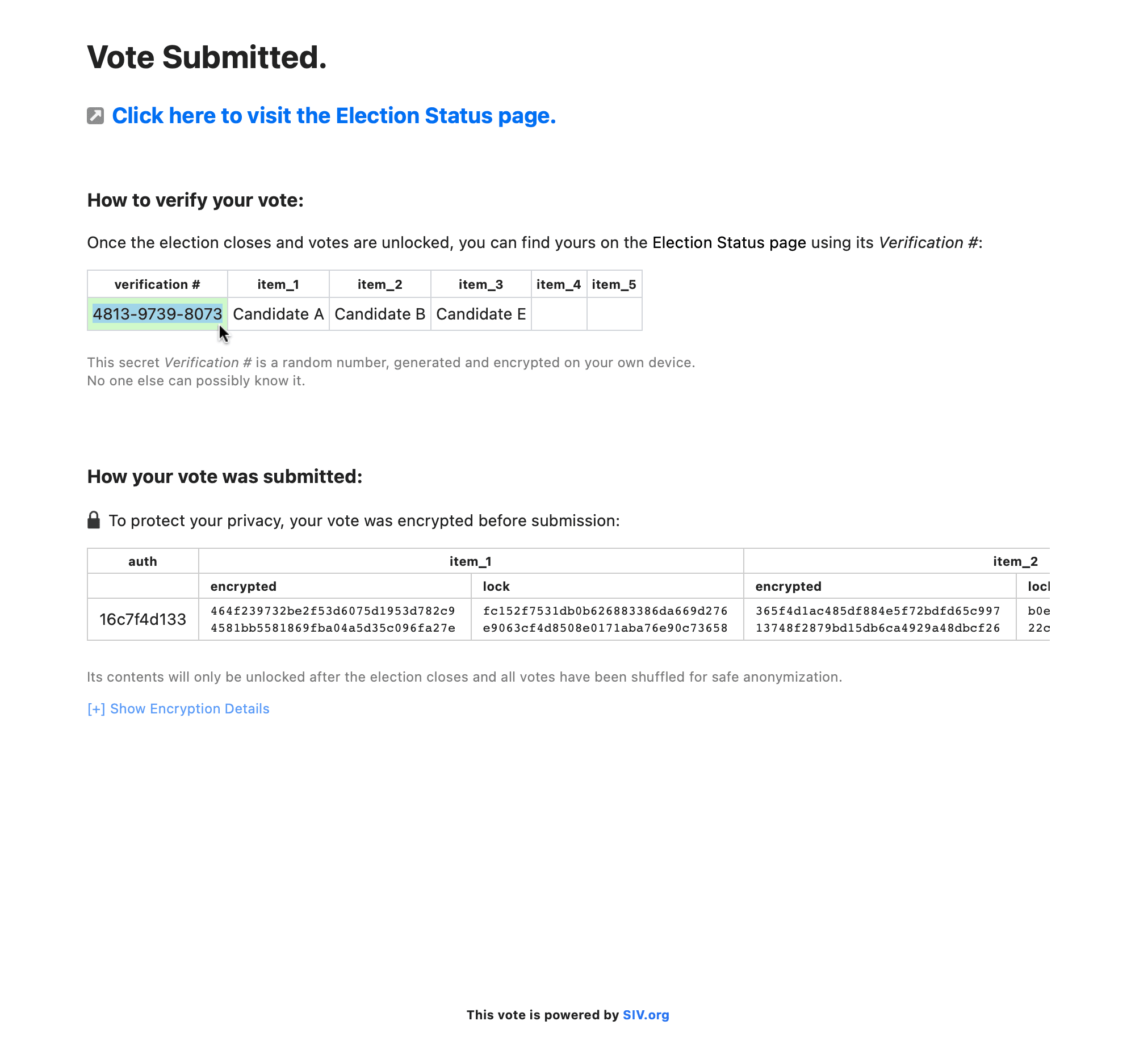 Vote submitted verification info